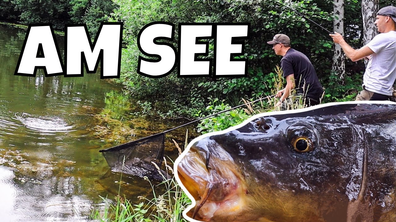 Erfolgreich auf KARPFEN 💪 | Ansitz angeln am See | Montagen Step by Step erklärt |