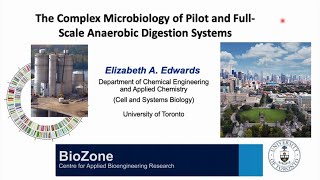 The Complex Microbiology of Pilot and Full-Scale Anaerobic Digestion Systems