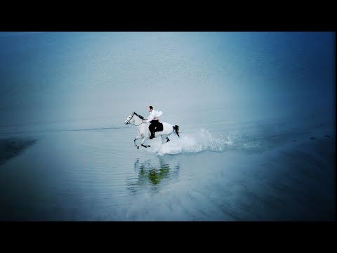 Horse Riding On Beach in Sweden by Patric Ullaeus