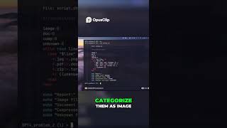 Organize Files 📁 into Categories in Bash using switch case 🎛️ | BPT 4.2