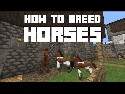 Come allevare cavalli in Minecraft