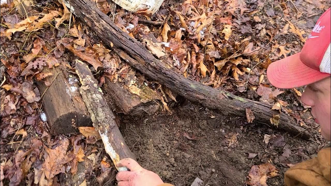 cubby set for bobcats YouTube