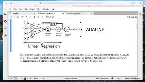 L5.8 Adaline Code Example