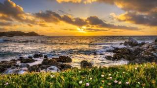 Paul Tortelier - Debussy - Cello Sonata in D minor