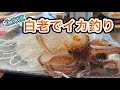 イカ釣り体験！函館行かなくても新鮮な活イカ定食！