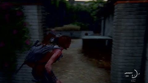 The Last of Us™ Part 2: You can