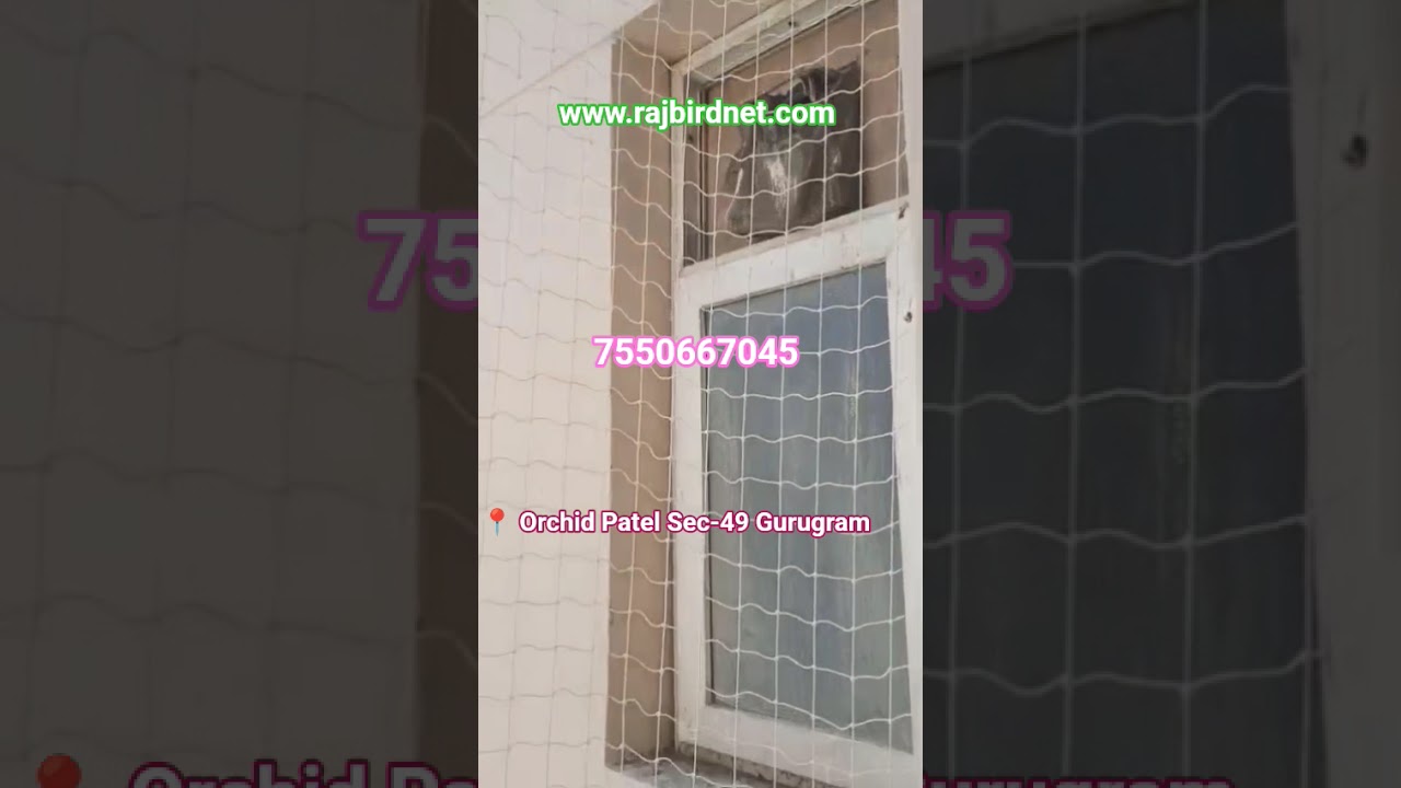 Balcony Net | www.rajbirdnet.com | 9899996984 | pigeon Net| Safety Net| Bird net for Gurugram 