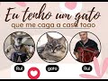 Eu tenho um gato que me caga a casa toda rui alves ft rui fonseca