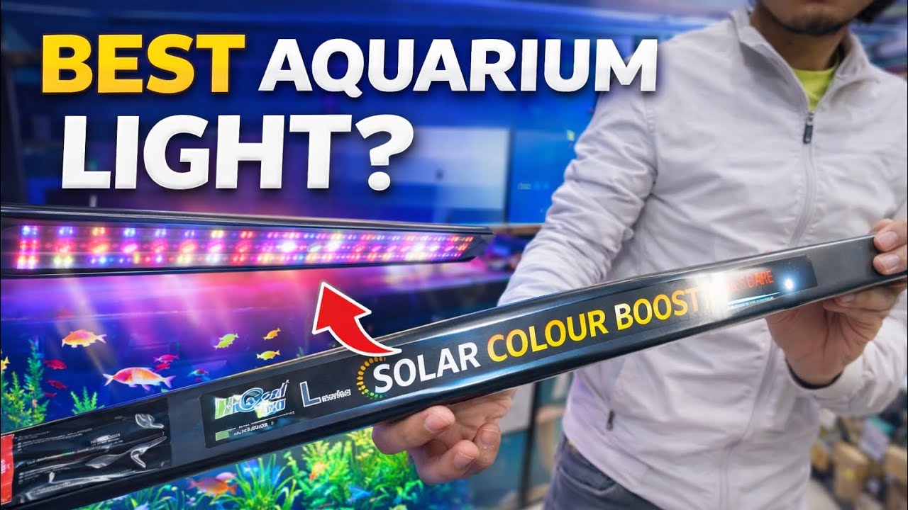 Solar Colour Boost Aquarium Light Review | Best LED for Fish Tank?