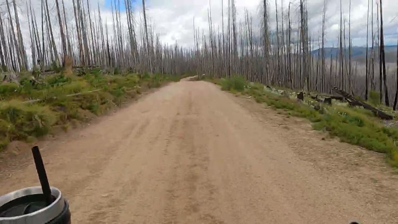 GX0110481-IDBDR-'25-DAY 3- Burned out forest-flat area-good views-mountaim meadowa area?