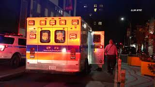 Woman Pushed into Train / Brooklyn NYC 9.10.23 screenshot 5