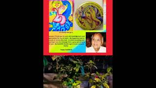 Om Creations School Of Arts I Creative Etv 25 Th Anniversary Logo Sri Ramoji Rao Blessing Me