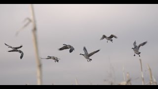December 2019 Migration Update