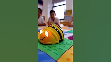 Robotik Kodlama Dersi 🐝 🤖