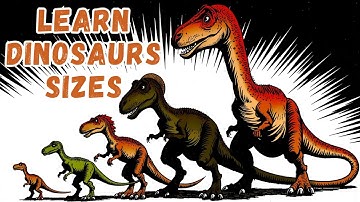 🦖Different Dino sizes📏| smallest - biggest dino | Dinosaurs Rhymes for Kids | Kids Songs | DebariTV