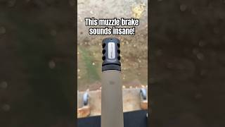 This Muzzle Brake sounds insane! FX Airguns brake on Panthera #fxairguns #airgun #panthera