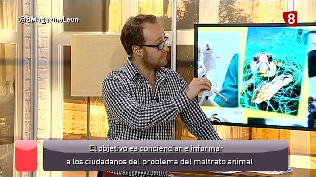8ML viernes (13-3-15) MARCHA ANIMALES Y ULIKE television reddit