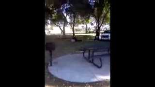 Oxnard Police attack man for recording