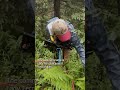 Finding Cool Species in the Field!