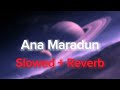 Ana Maradun By Abu Ali Slowed Reverb 