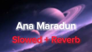 Ana Maradun By Abu Ali Slowedreverb