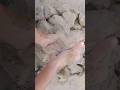 mini chunks of Ocean Sand mud dry crumbling 🔥💨🤤 #asmr #satisfying #mouthwatering #mud #sand #dust