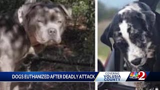 Dogs euthanized after deadly attack on DeLand 8-year-old, investigation continues