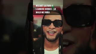New Music Video Releases —  Dec 11, 1025 - Latino +  African Musics