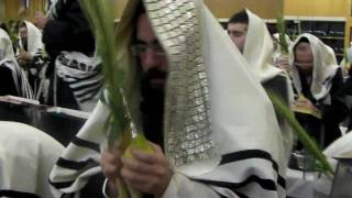 Shaking Lulav and Esrog during Hallel - Ana Hashem