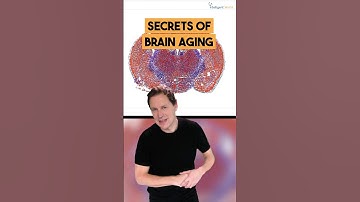 Secrets Of Brain Aging