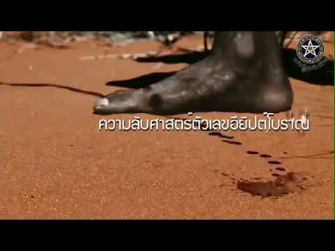 The Code Master Thailand