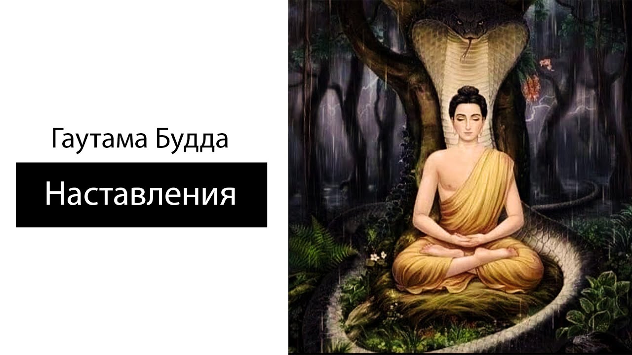 Мадджхима-никая. Поучения будды. Наставления будды короткая. Мадджхима никая. Высказывания будды.