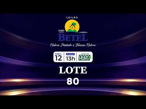 LOTE 80