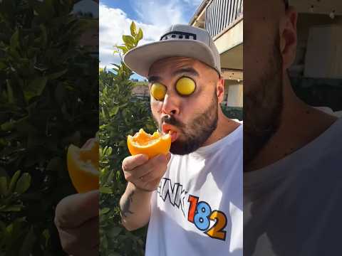Why Eat My Oranges Yp353