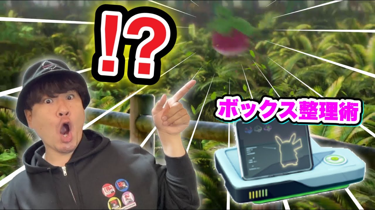 ボックス整理の極意！今月のコミュデイはコイツか！？【ポケモンGO