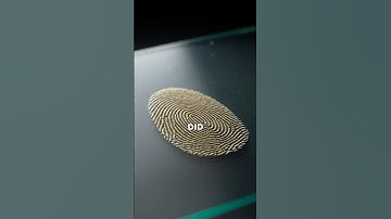 The science behind fingerprints #funfacts #fingerprints #science