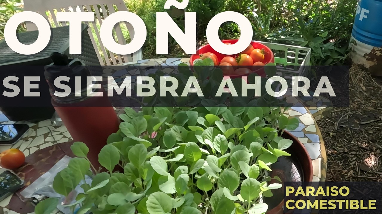 Paraíso Comestible: Empezamos la siembra de otoño