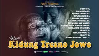 ALBUM KIDUNG TRESNO JOWO - SINDY PURBAWATI
