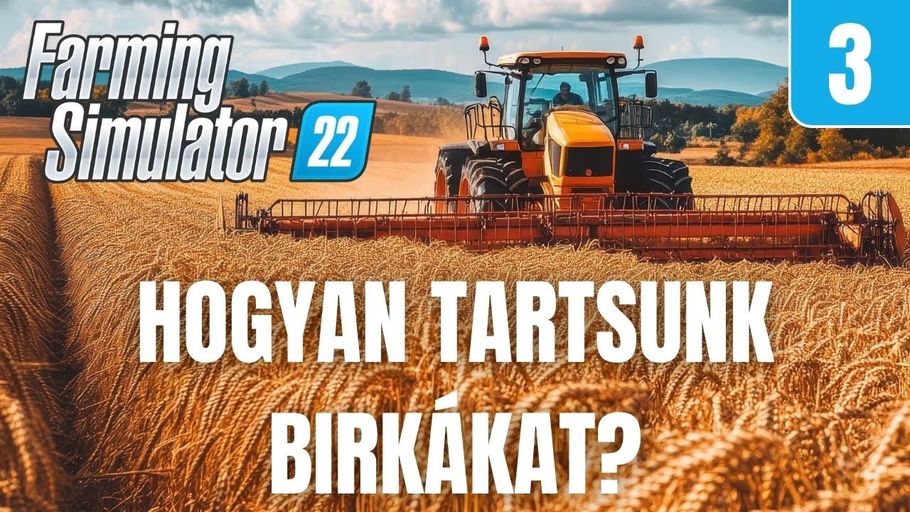 Hogyan tartsunk birkákat? Tutorial #3 | Farming Simulator 22