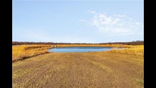 10580 Paine Road video tour