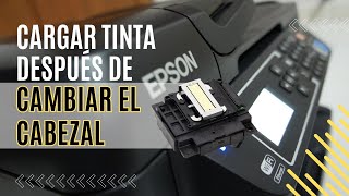 Cargar tinta después de un cambio de cabezal Epson