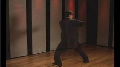 Kung Fu Fighting : Praying Mantis Palm Block Side Elbow