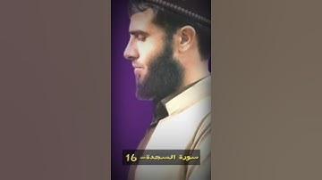 القارئ رزكار محمد صوته هادي😍.