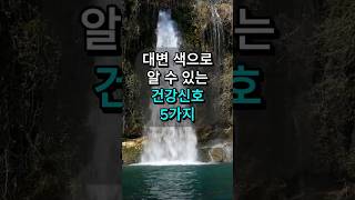 대변 색으로 알 수 있는 건강 신호 5가지