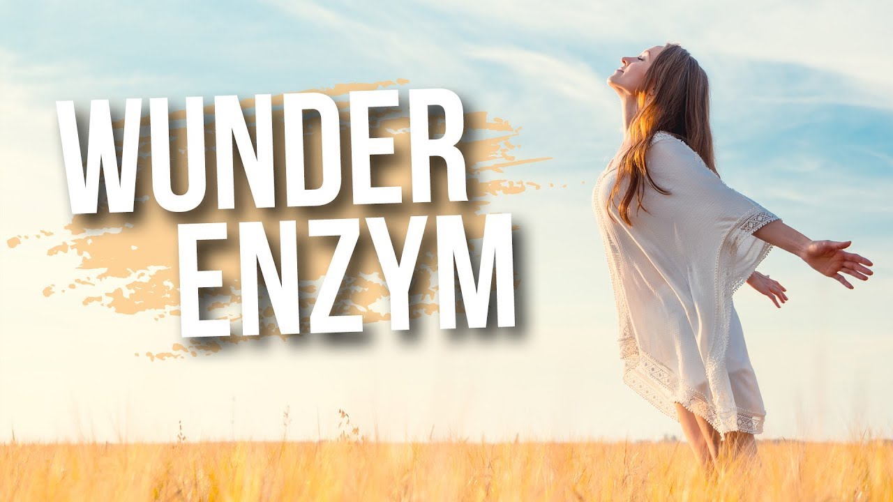 Dieses Enzym verlängert Dein Leben | Dr. Petra Bracht