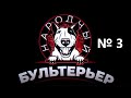 Как "отжимают" городскую землю в Черновцах / Народный бультерьер с Андреем Гожым №3