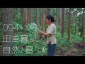 【Japanese Countryside Cooking】Make plum jelly with the harvested plums