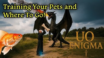From Wild to Loyal – How to Tame and Train Your Perfect Companion!