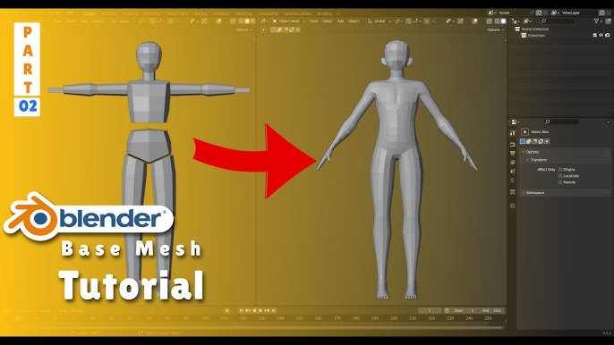 How I Model 3D Anime Base Body From SCRATCH! In BLENDER! [ブルアカ][Blue  Archive][Little Shun] 