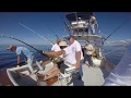 Azores airlines biggame fishing tournament resume